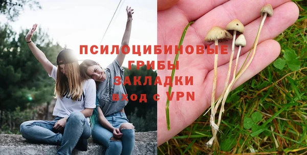 твердый Алексеевка