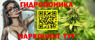стафф Кандалакша