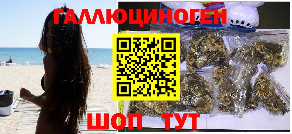 Псилоцибиновые грибы мицелий Кыштым