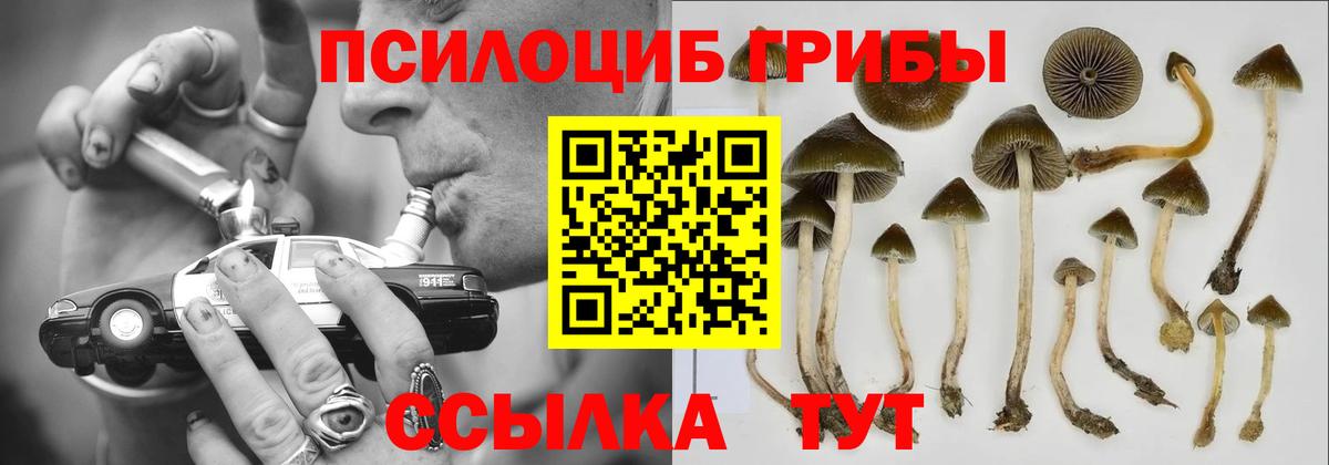 Галлюциногенные грибы GOLDEN TEACHER  Вход с VPN  Кыштым 